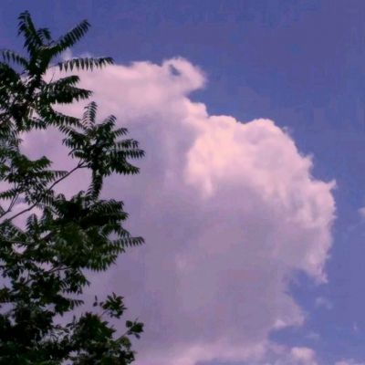 博瑞生物医药（苏州）股份有限公司关于召开2025年度业绩说明会的公告